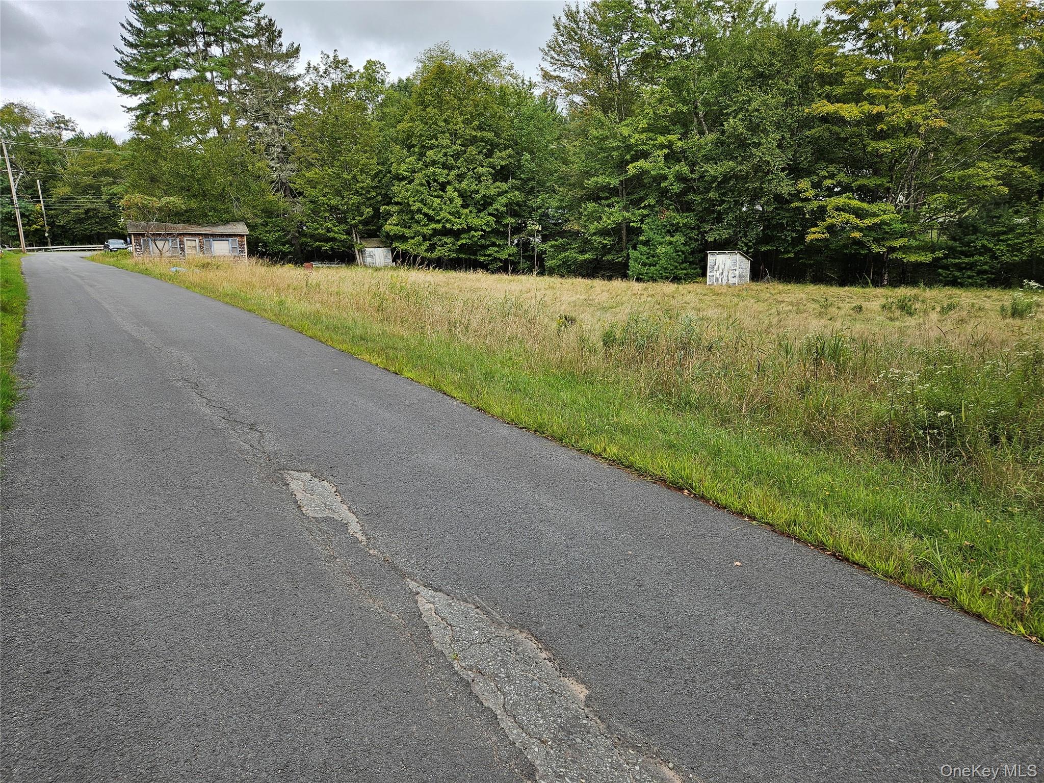 3624 State Rte 55 Kauneonga Lake, NY 12749 - Photo 29 of 40 a view of a road with a yard