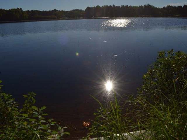 4194 Bass Bay Drive Rhinelander, WI 54501 - Photo 20 of 20 Gallery Image 20