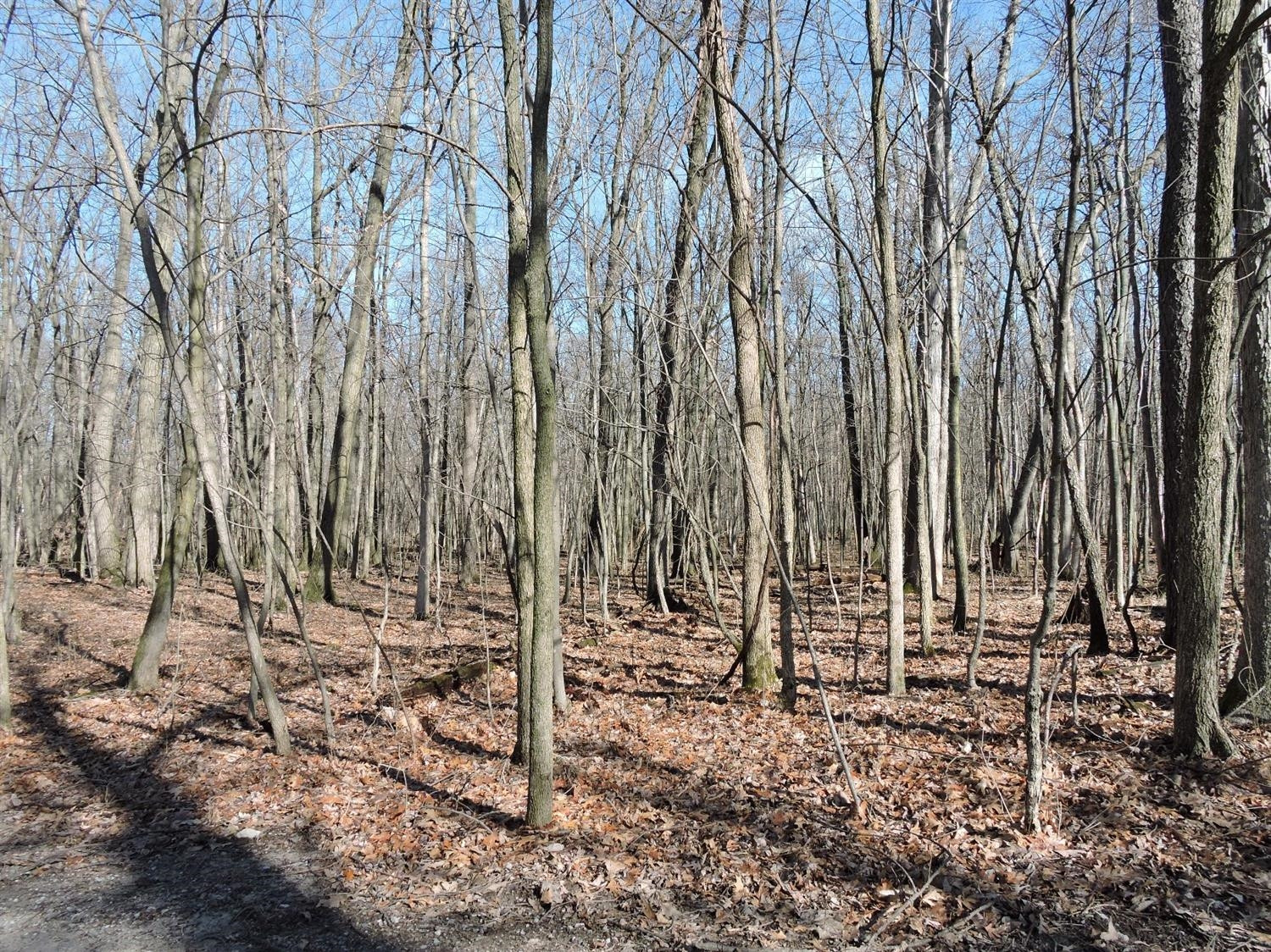 7286 Webster Church Road Whitmore Lake, MI 48189 - Photo 1 of 14 Photo 1