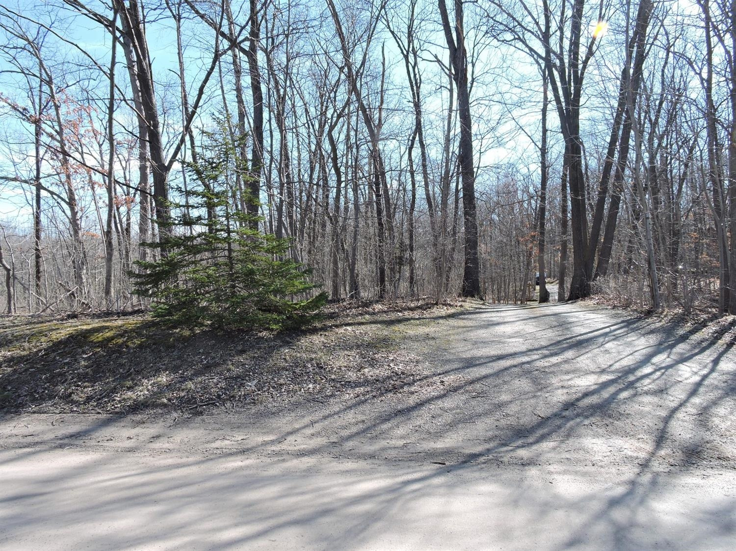 7286 Webster Church Road Whitmore Lake, MI 48189 - Photo 12 of 14 Photo 12