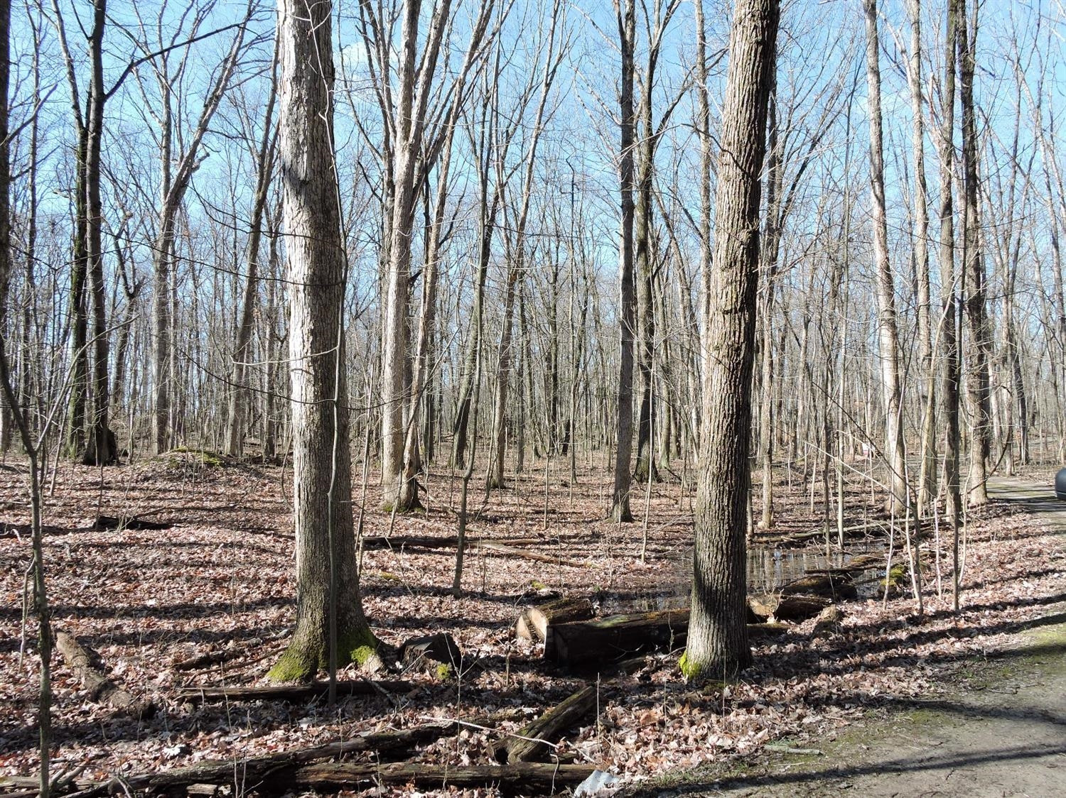 7286 Webster Church Road Whitmore Lake, MI 48189 - Photo 8 of 14 Photo 8