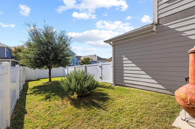 a view of a yard with plants and a tree