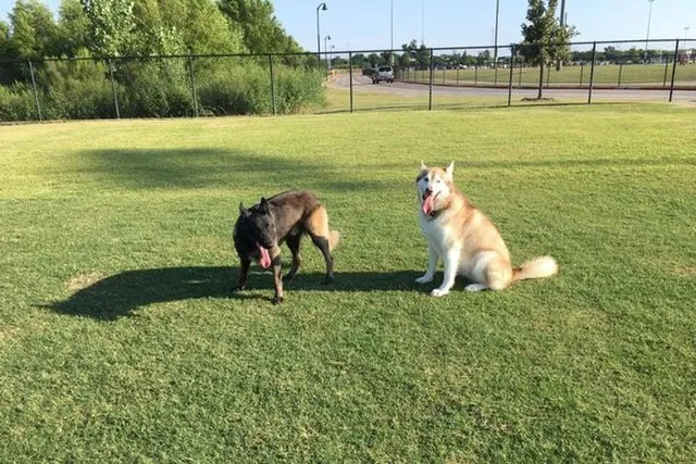 $350,000 | 1420 Bull Street, Aubrey, TX 76227