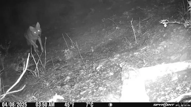 $210,000 | 0 Coles Ferry Road, Nathalie, VA 24577