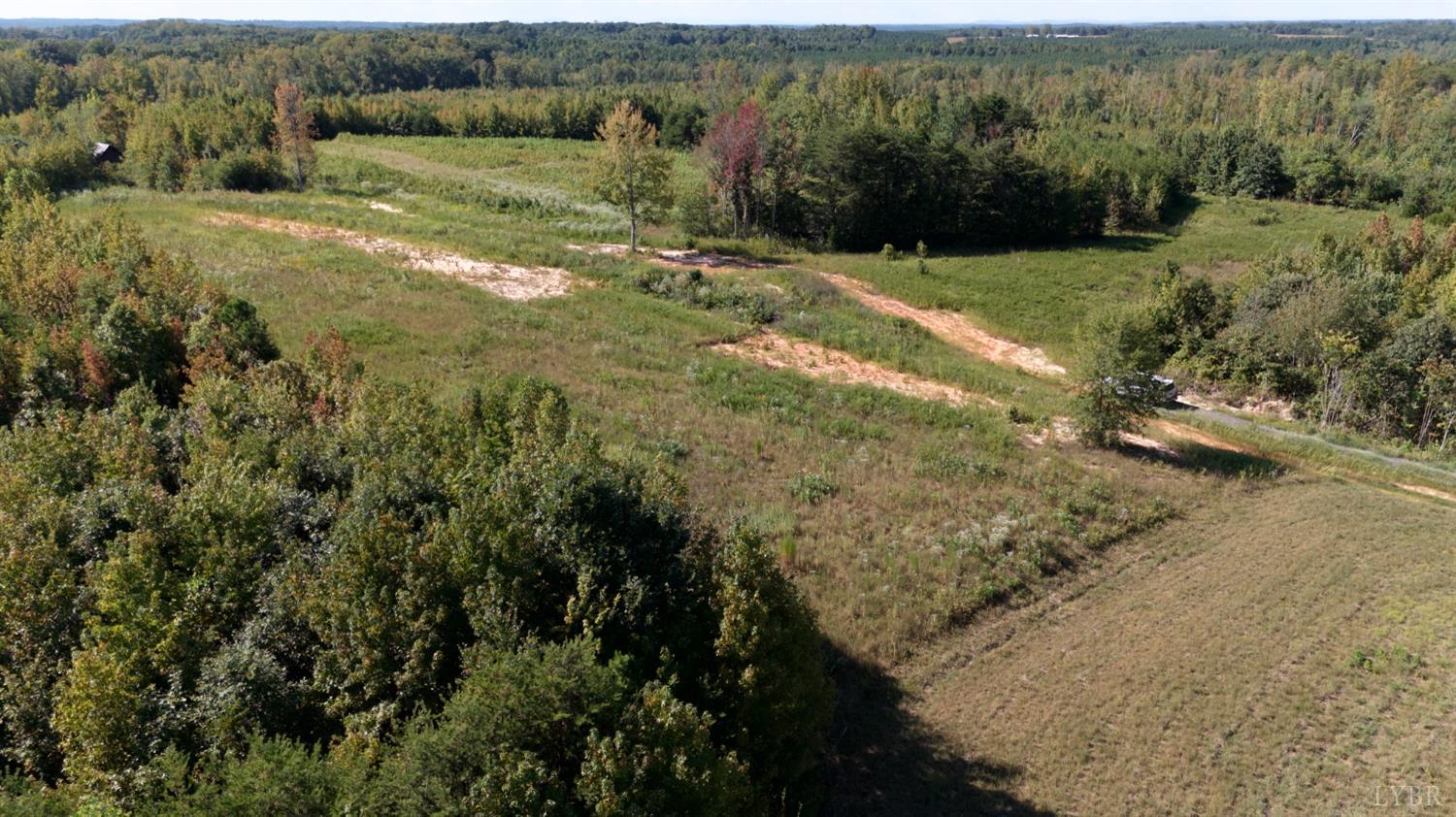 0 Coles Ferry Road Nathalie, VA 24577 - Photo 2 of 15 a view of a yard with an trees