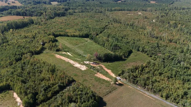 a view of a forest with a street