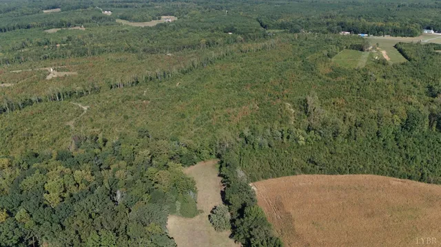 a view of a dry yard with green space