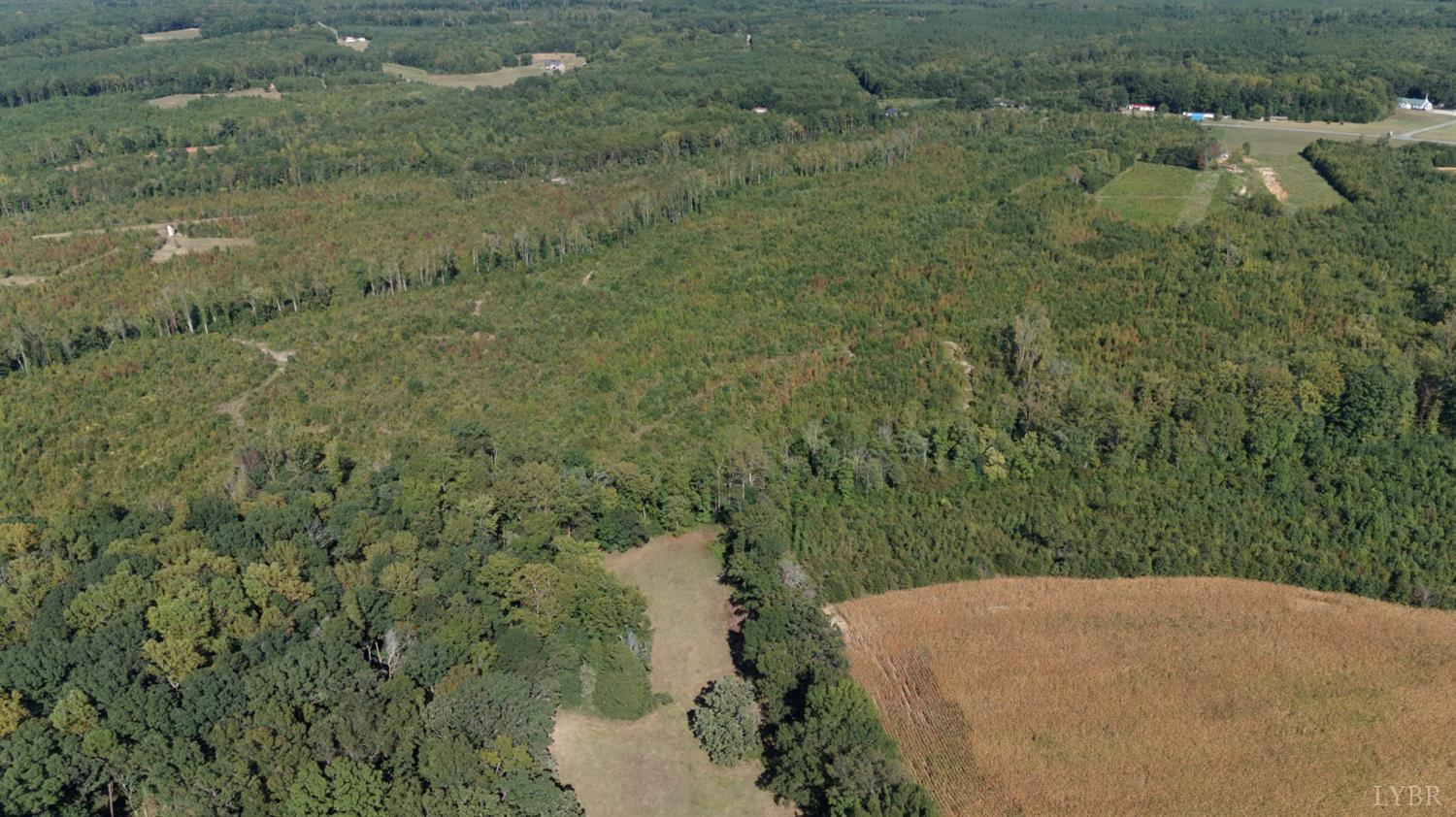 0 Coles Ferry Road Nathalie, VA 24577 - Photo 7 of 15 a view of a forest with a sink