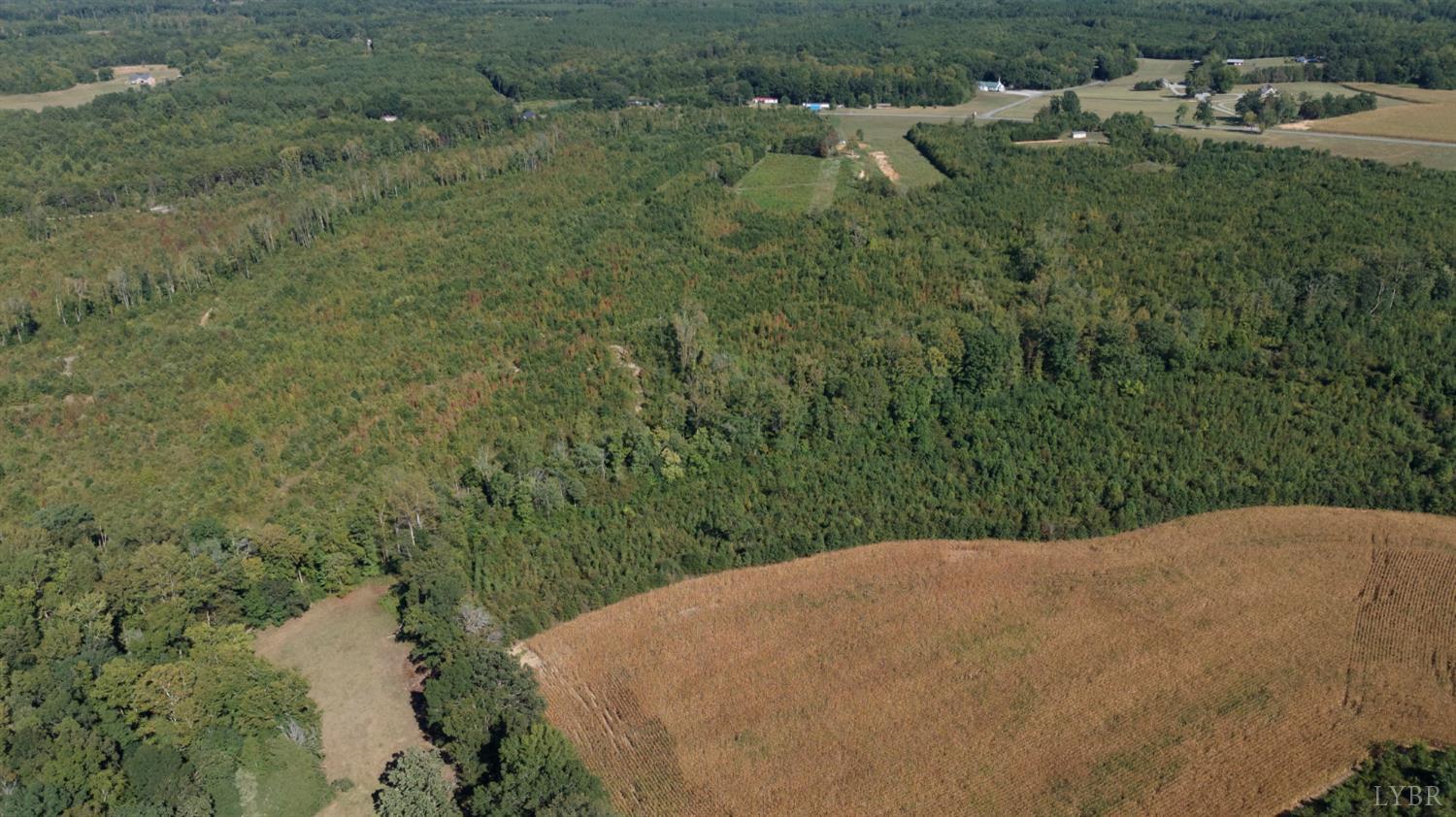 0 Coles Ferry Road Nathalie, VA 24577 - Photo 8 of 15 a view of a yard with a sink