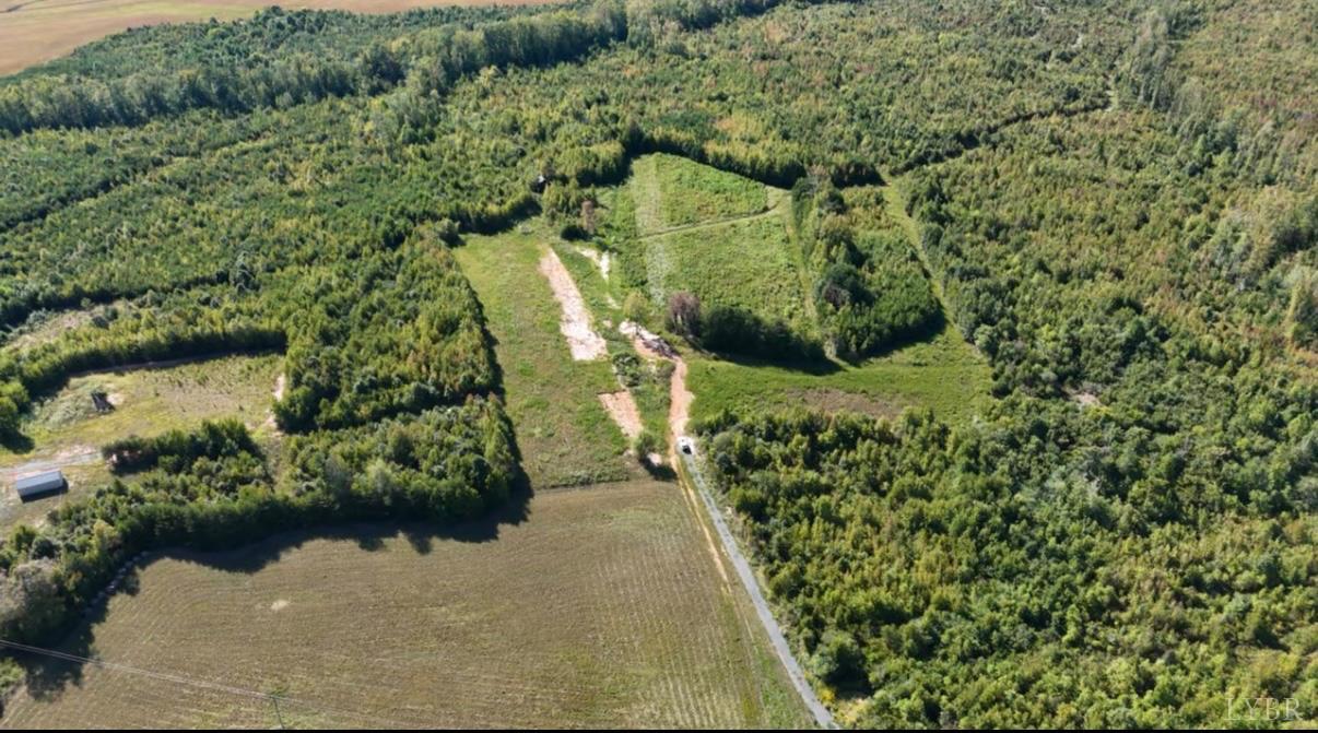 0 Coles Ferry Road Nathalie, VA 24577 - Photo 10 of 15 a view of a garden with pathway