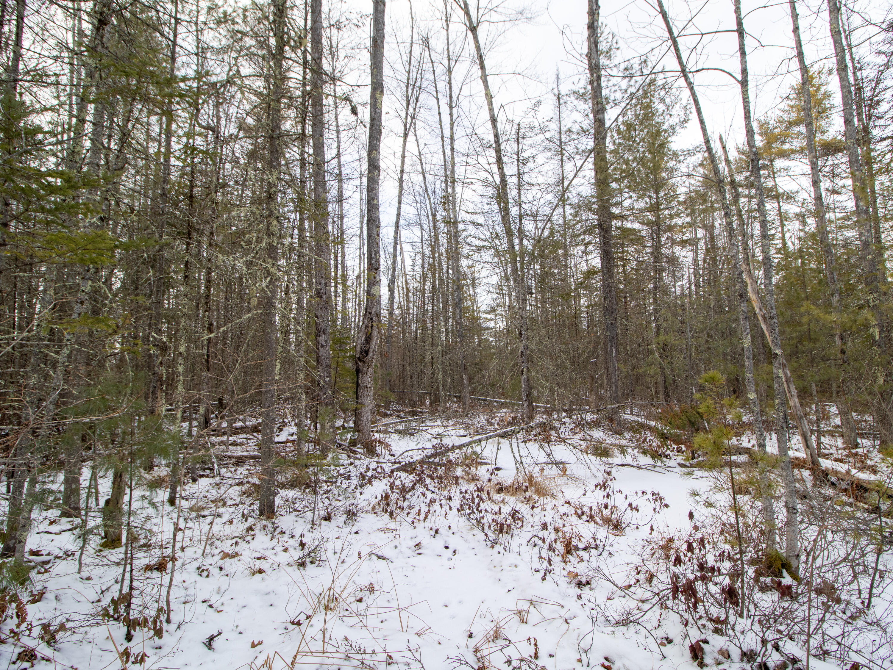 Lot 28-1-a Saco Road Standish, ME 04084 - Photo 15 of 22 IMG_4494