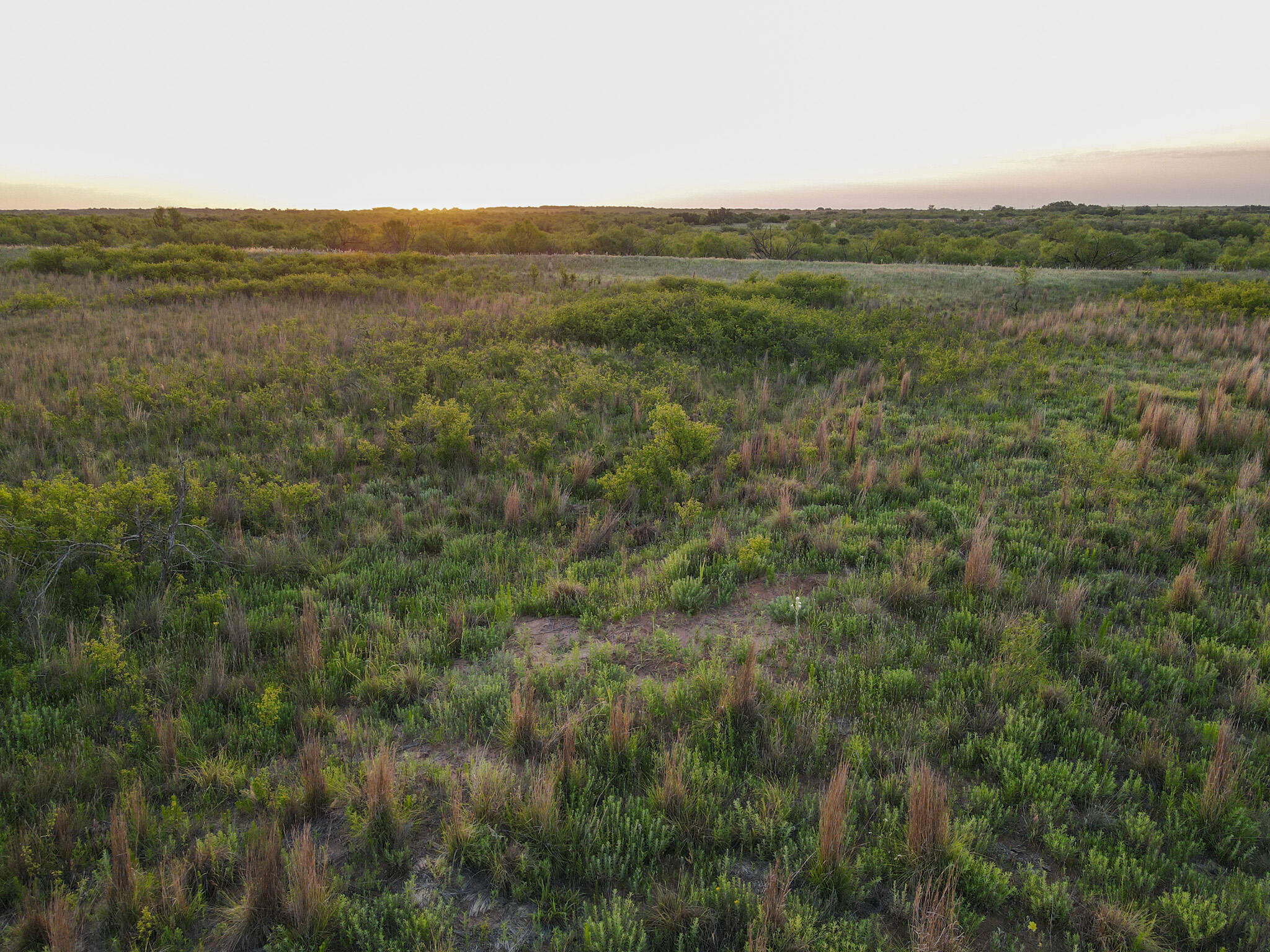 248 County Road Dickens, TX 79229 - Photo 11 of 25 a view of a field with an ocean