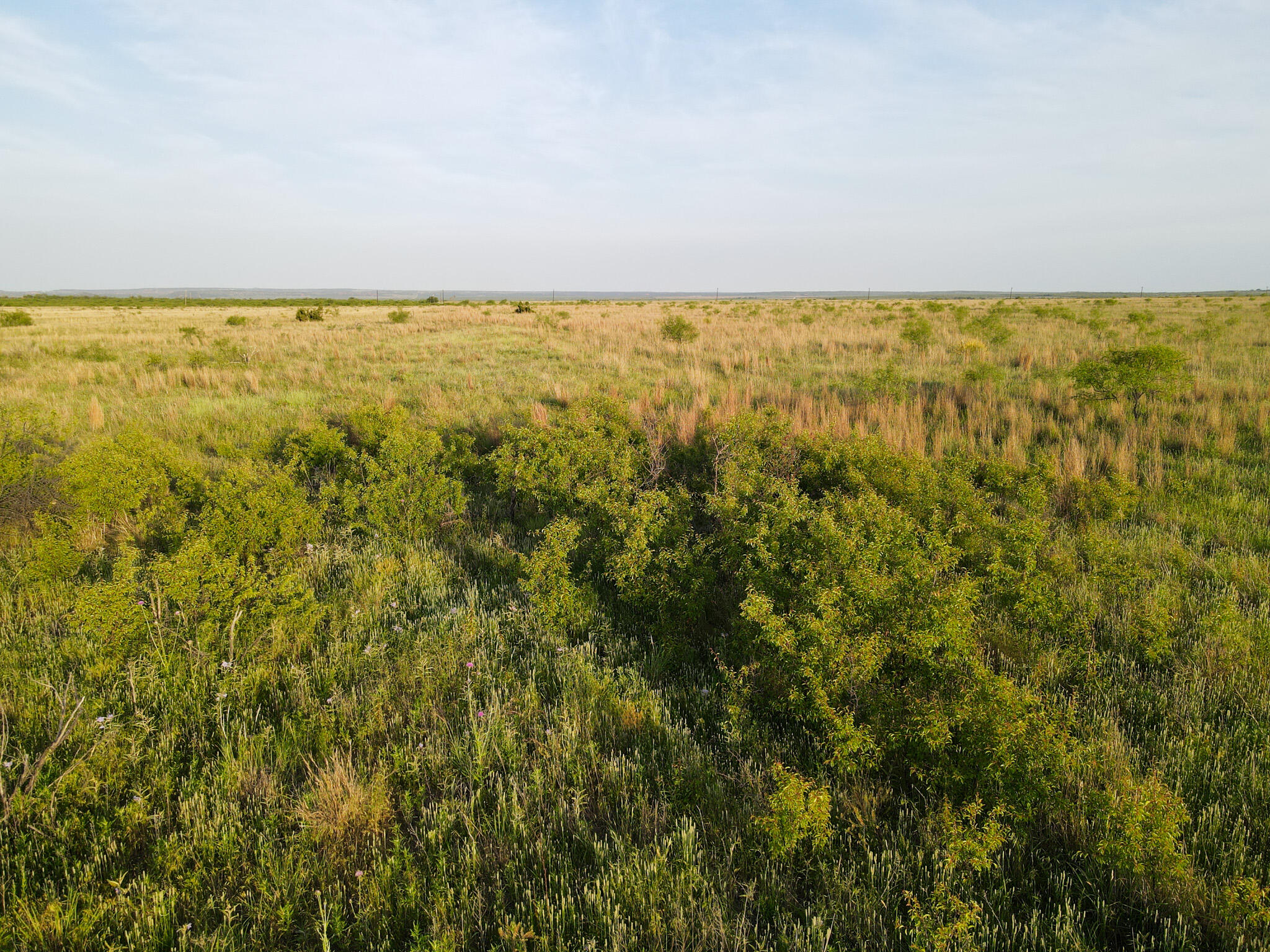 248 County Road Dickens, TX 79229 - Photo 12 of 25