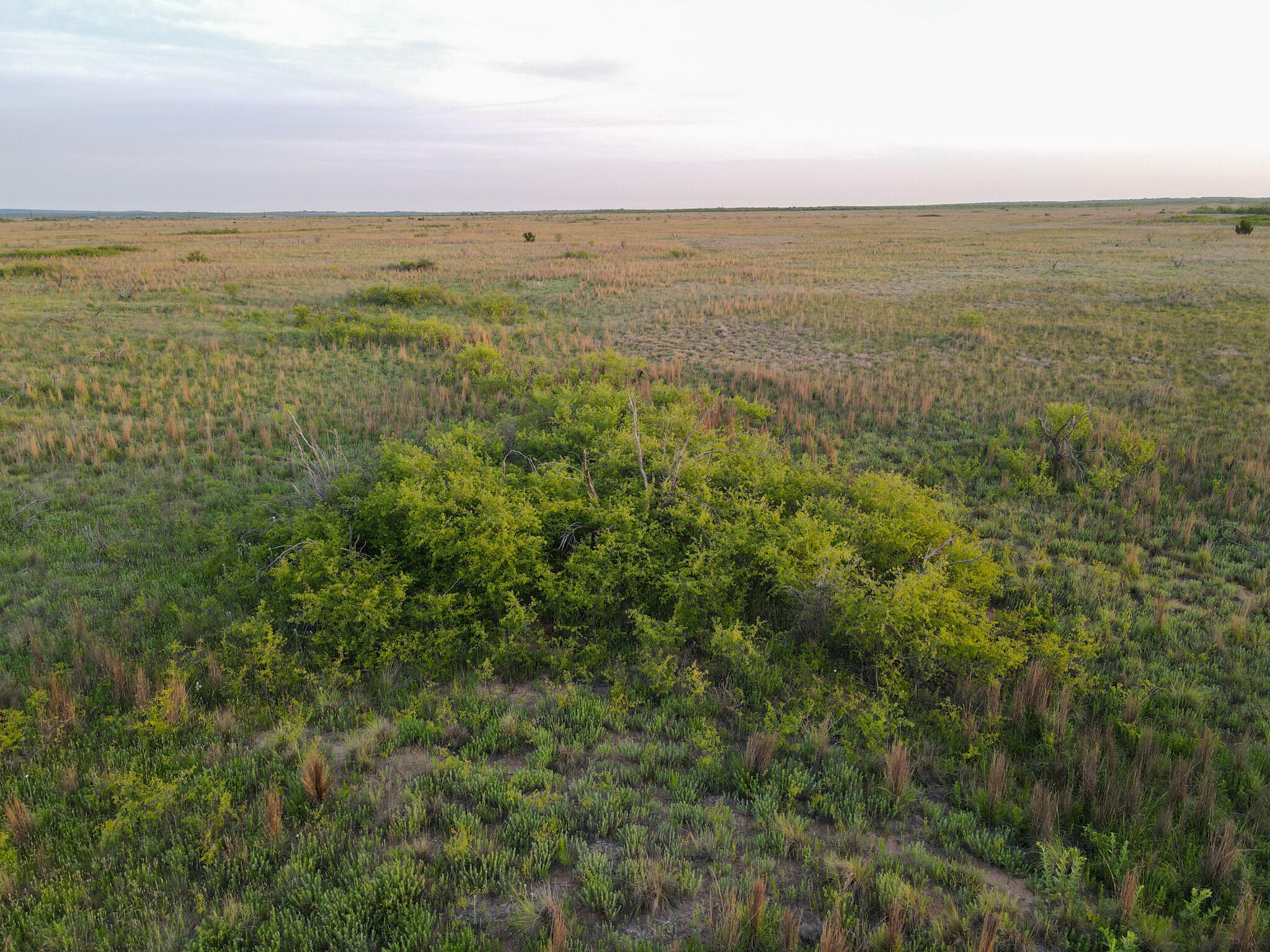 248 County Road Dickens, TX 79229 - Photo 14 of 25 a view of an ocean