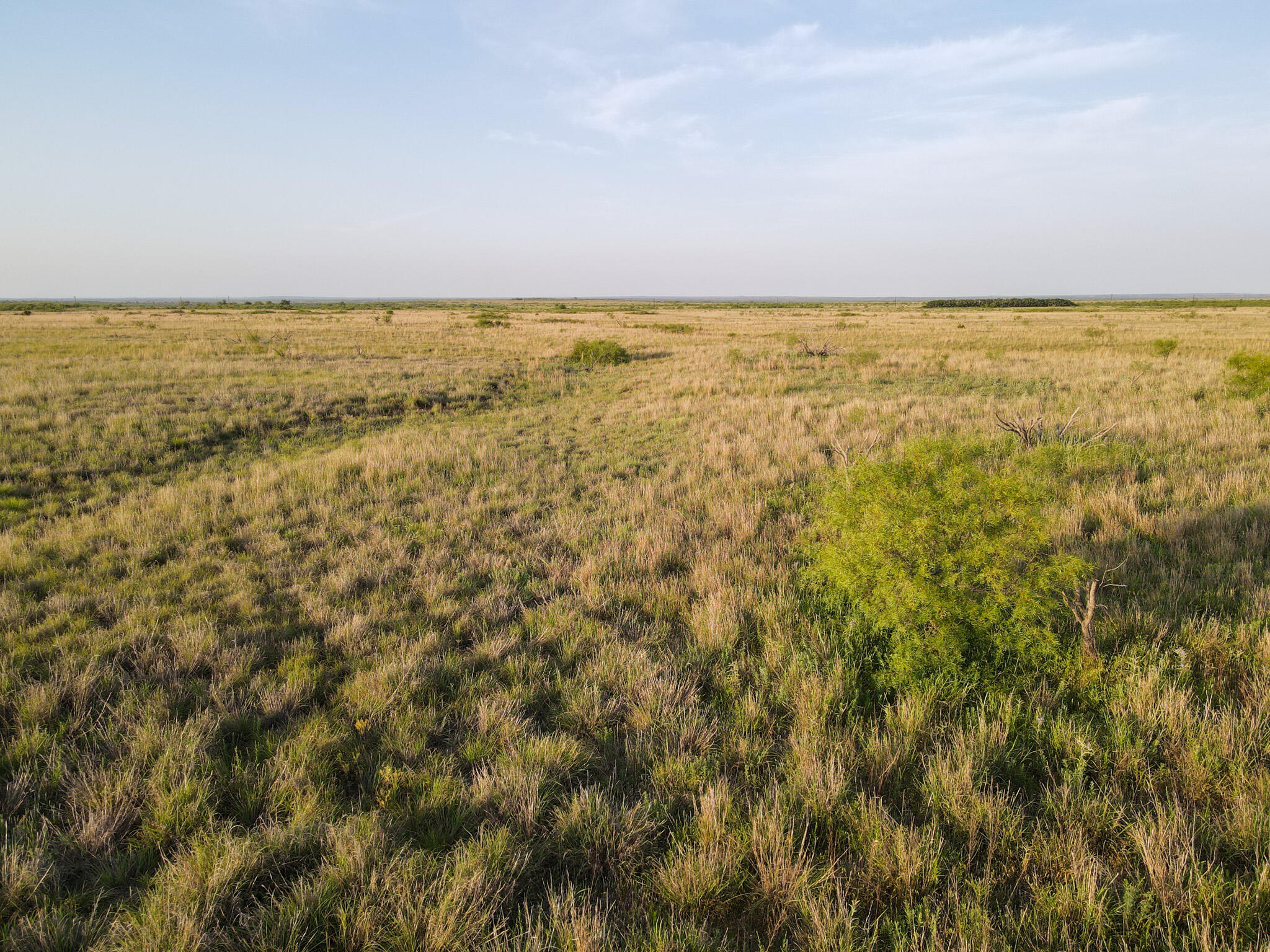 248 County Road Dickens, TX 79229 - Photo 22 of 25 a view of an ocean