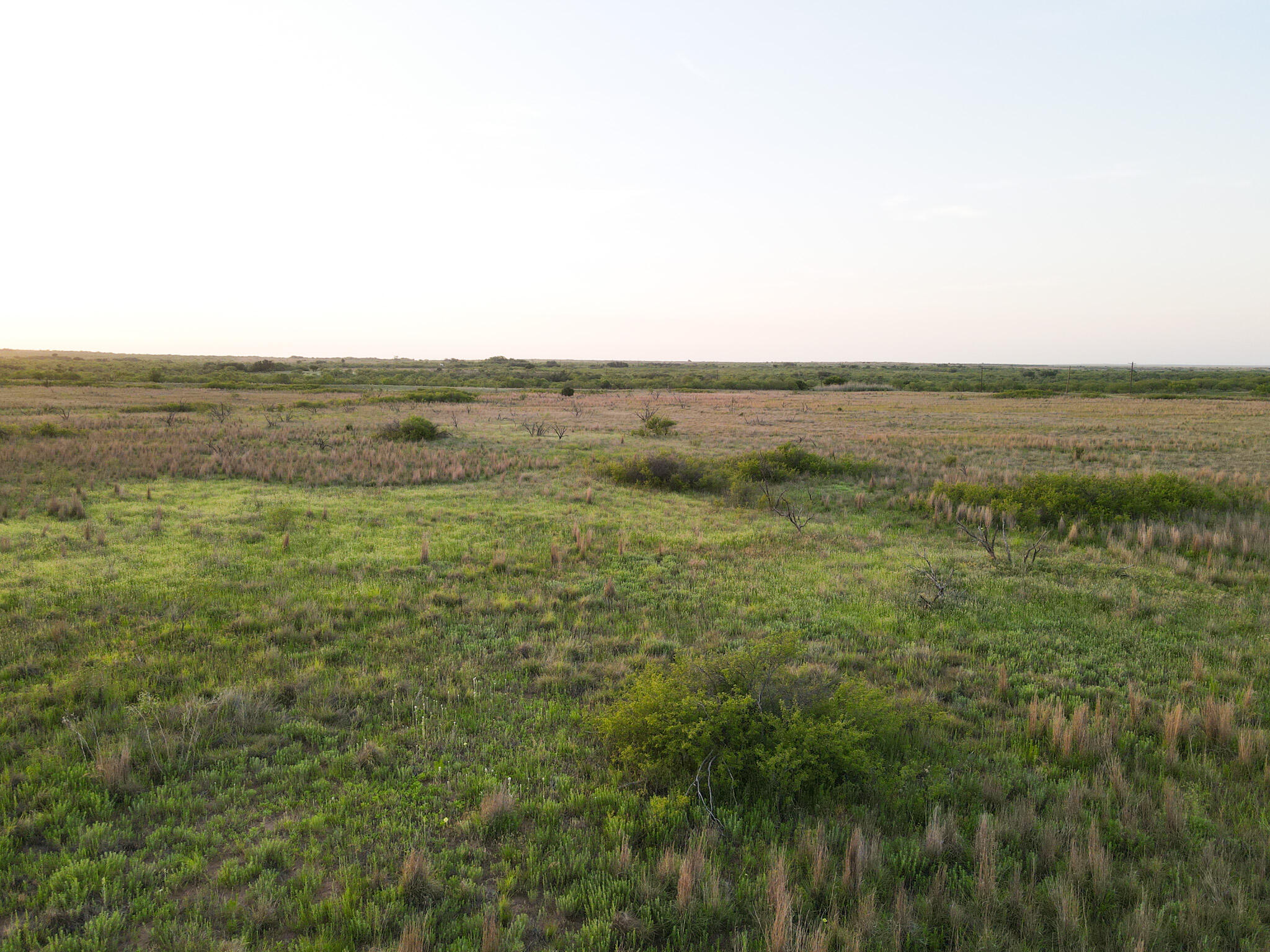 248 County Road Dickens, TX 79229 - Photo 23 of 25 a view of an ocean