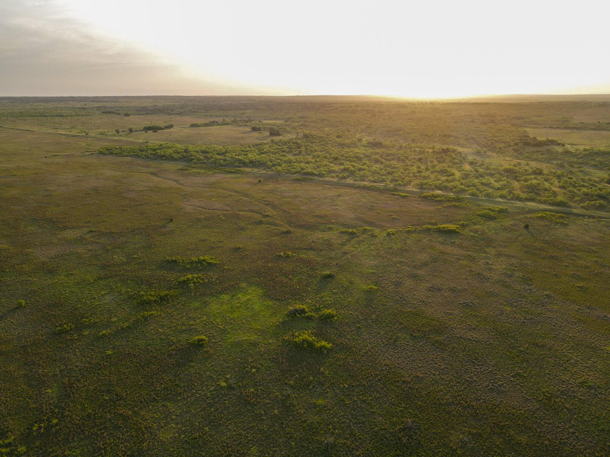 248 County Road Dickens, TX 79229 - Photo 24 of 25 a view of an ocean