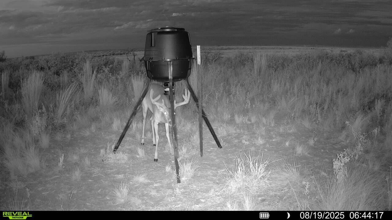 248 County Road Dickens, TX 79229 - Photo 4 of 25