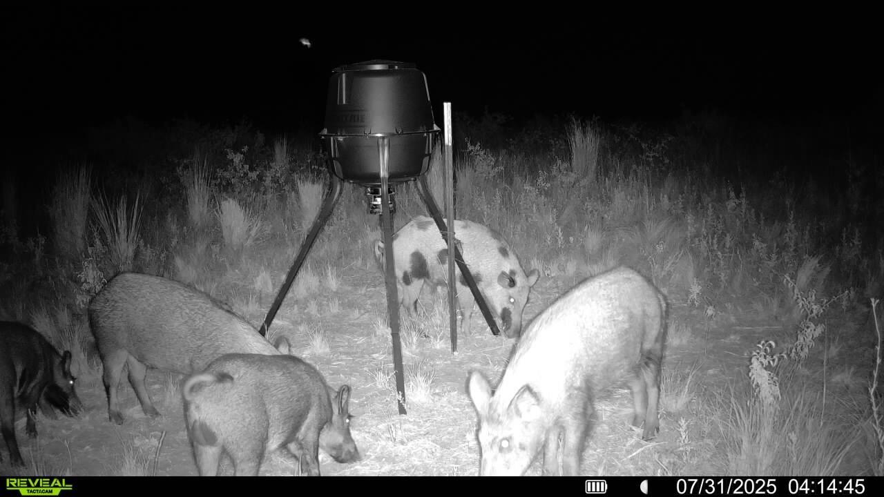 248 County Road Dickens, TX 79229 - Photo 5 of 25 a view of a living room