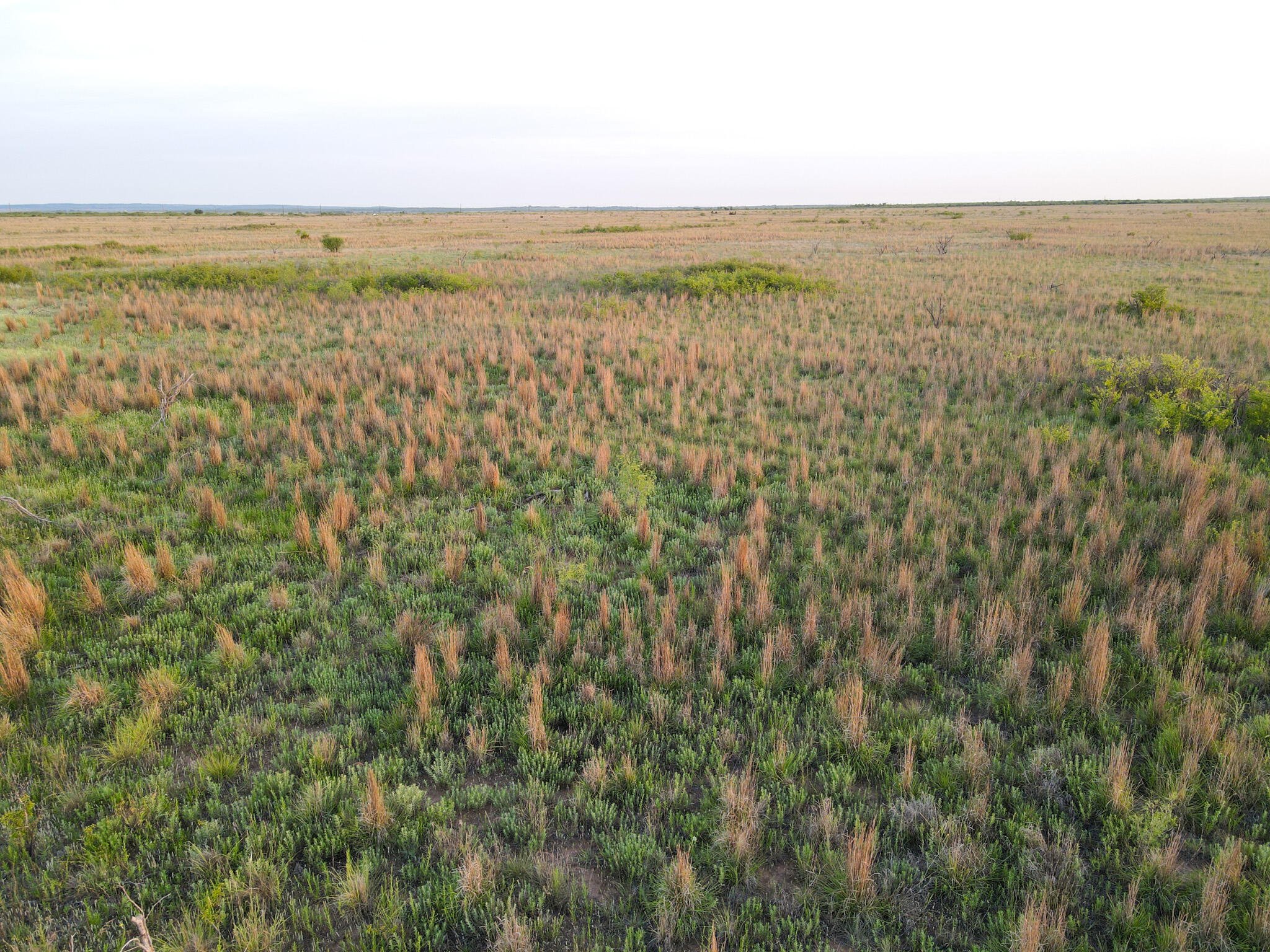 248 County Road Dickens, TX 79229 - Photo 9 of 25 a view of an ocean