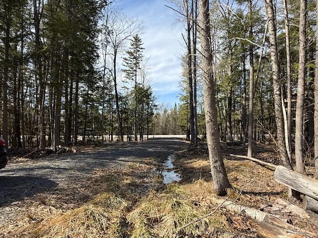 0 Mercer (route 2) Road Mercer, ME 04957 - Photo 4 of 20 Driveway in off of Rt. 2