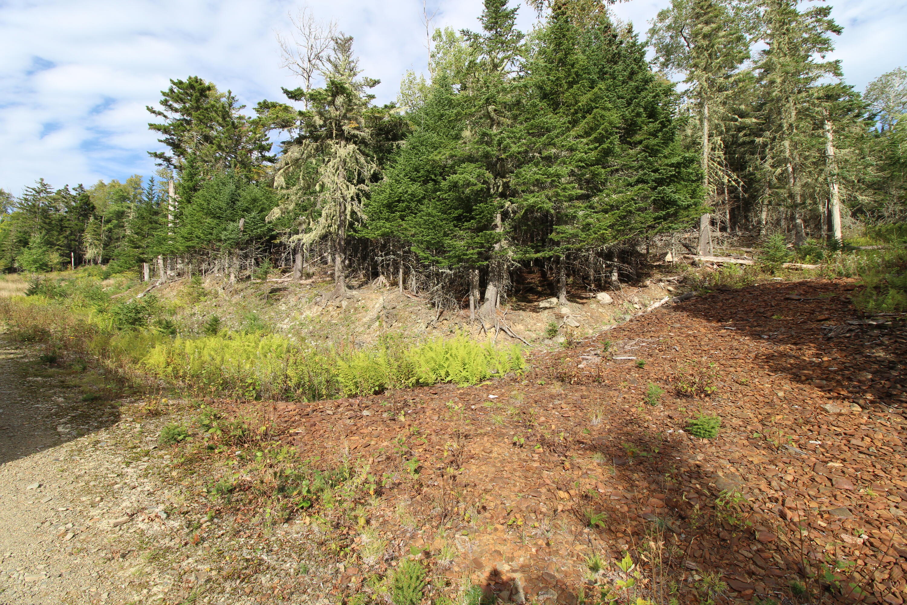 Lot 8 Wheeler Road Rangeley, ME 04970 - Photo 3 of 11 IMG_5297