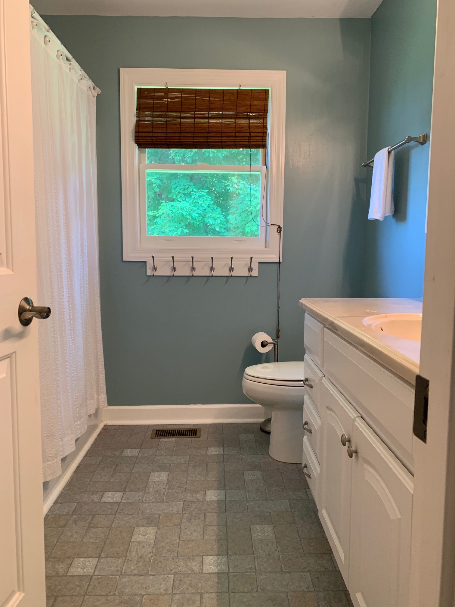 818 Dale Ridge Road Dowelltown, TN 37059 - Photo 15 of 24 a bathroom with a toilet a sink and a window