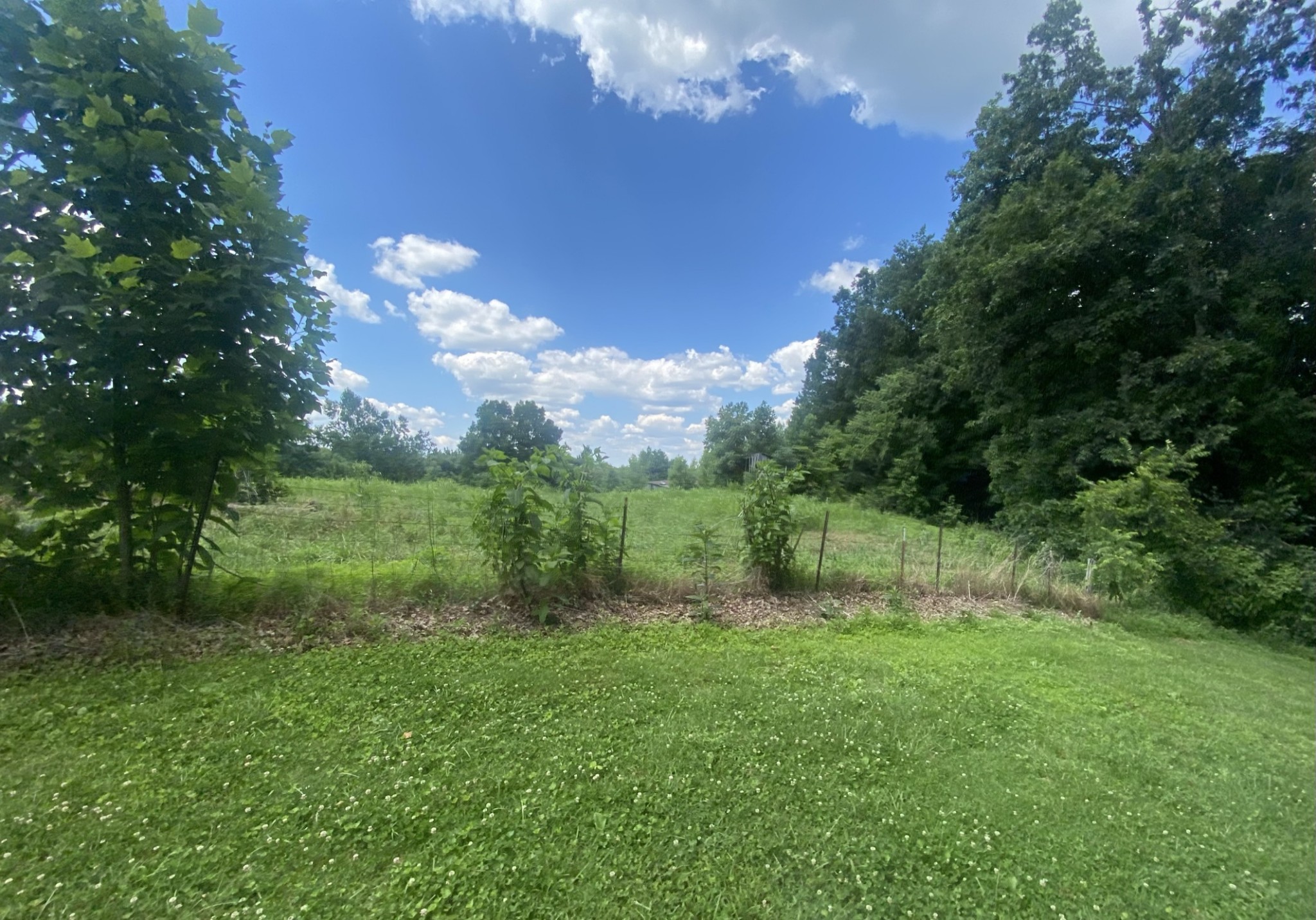 818 Dale Ridge Road Dowelltown, TN 37059 - Photo 16 of 24 a view of a city with lush green forest