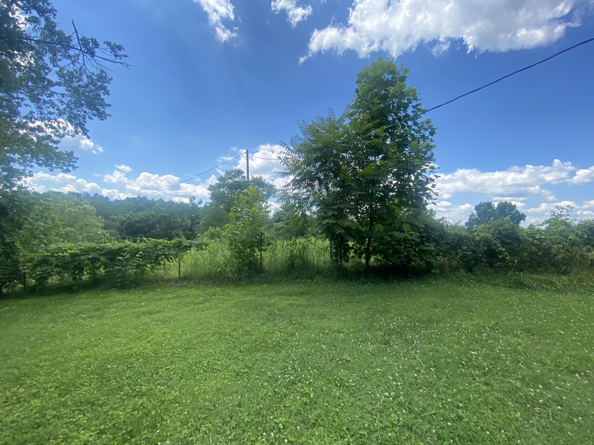818 Dale Ridge Road Dowelltown, TN 37059 - Photo 17 of 24 a view of a green yard