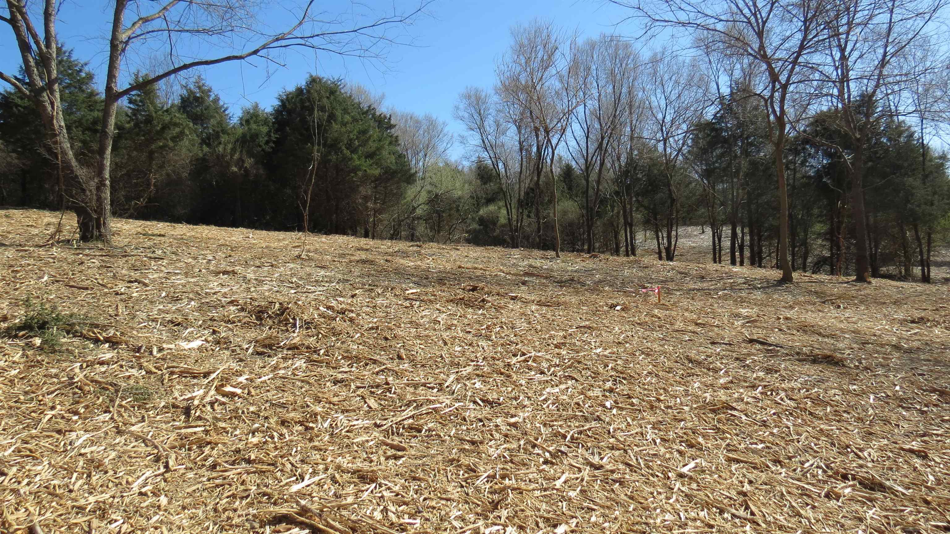Lot 11 Berry Farm Road Staunton, VA 24401 - Photo 11 of 24 Gallery Image 11