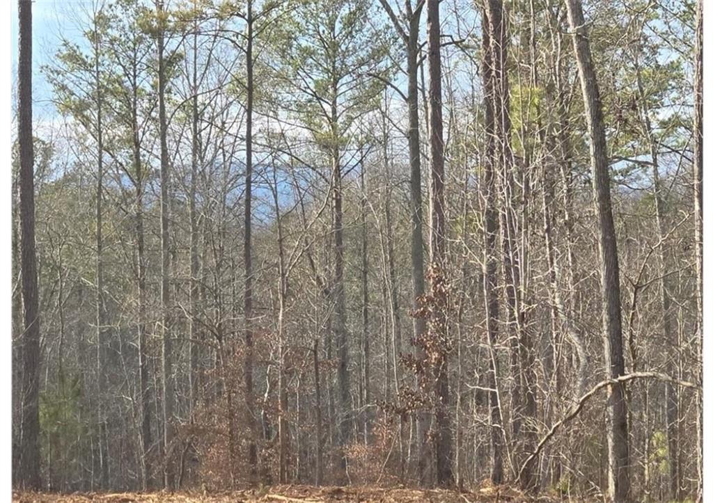 275 Tippens Road Canton, GA 30114 - Photo 20 of 22 Gallery Image 20
