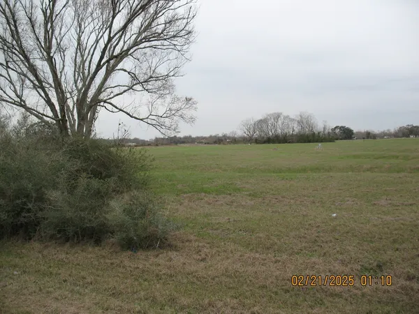 a view of an outdoor space and trees