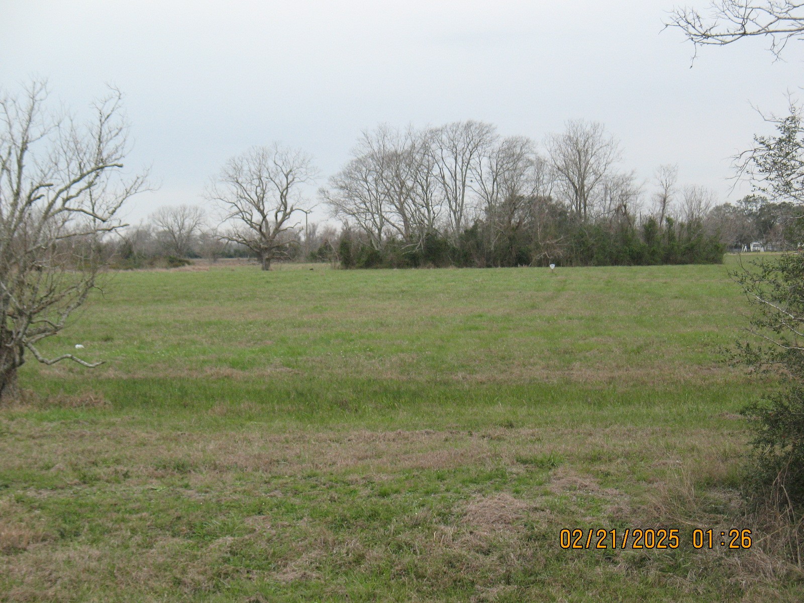 23110 FM 521 Road Angleton, TX 77515 - Photo 5 of 9 a view of a field with trees