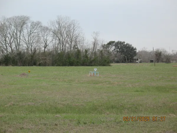 a view of a field with trees in background