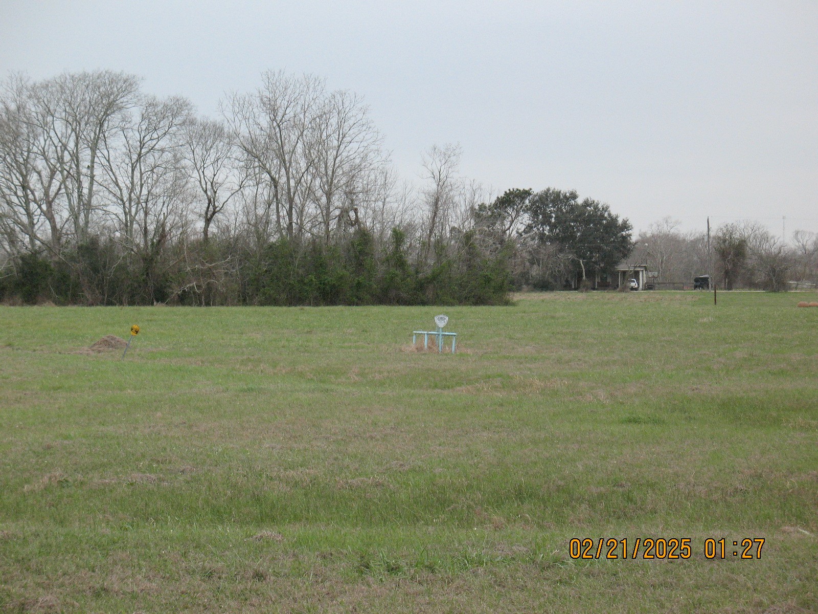 23110 FM 521 Road Angleton, TX 77515 - Photo 7 of 9 a view of a field with trees in background