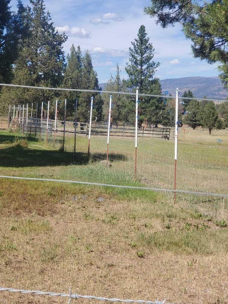 17703 Fishhole Creek Road Bly, OR 97622 - Photo 23 of 34 IMG-20260330-WA0006