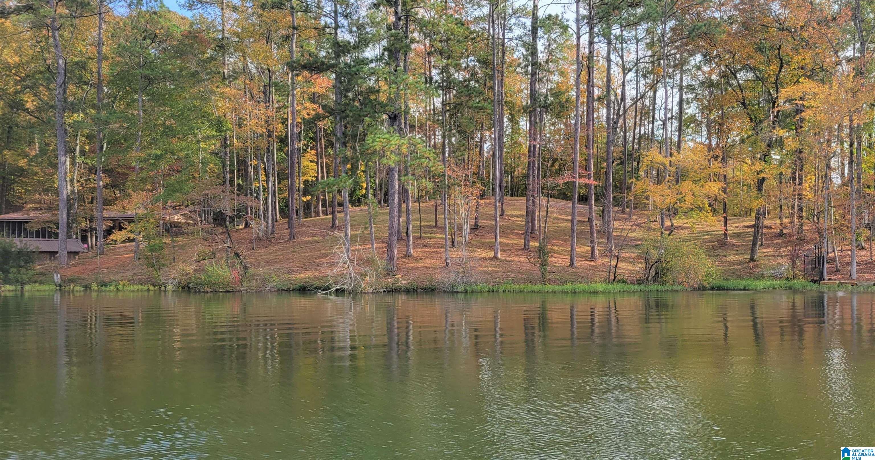 1830 Mimosa Point Road, Unit 1 Rockford, AL 35136 - Photo 10 of 24