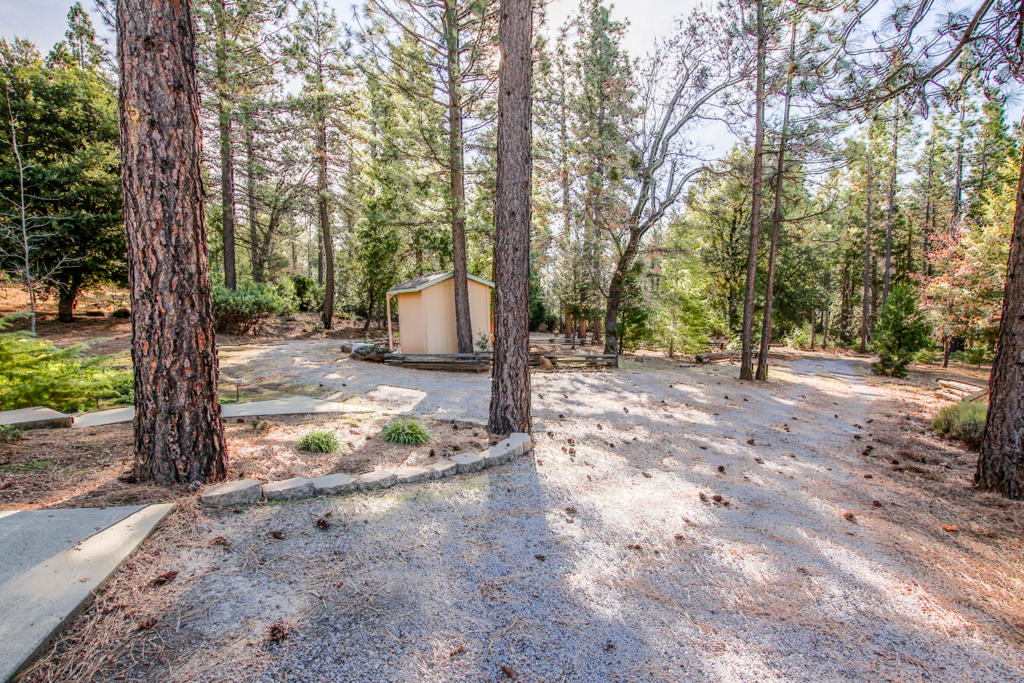 12855 Fern Road Whitmore, CA 96096 - Photo 32 of 45 a view of a road with trees in the background
