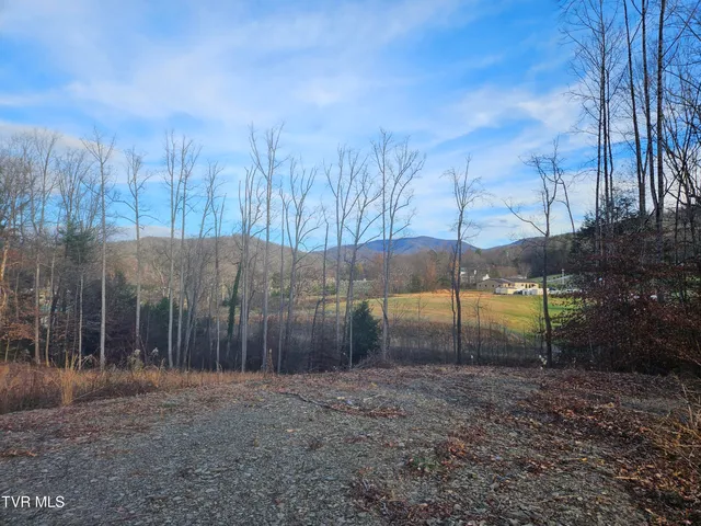$69,000 | 0 Galax Drive, Unit NOTE, Erwin, TN 37650