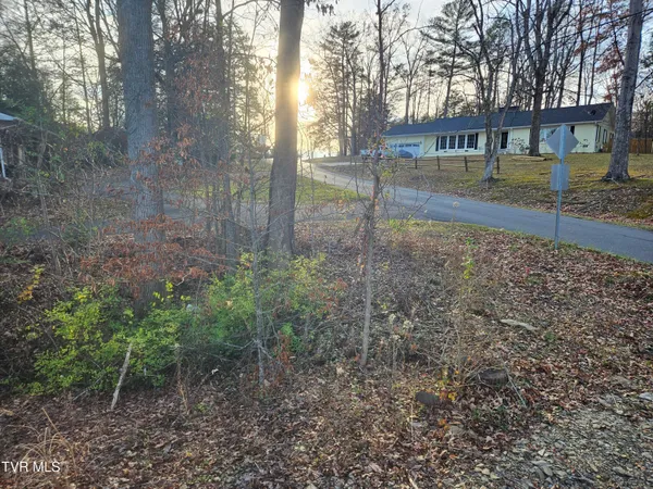 $69,000 | 0 Galax Drive, Unit NOTE, Erwin, TN 37650