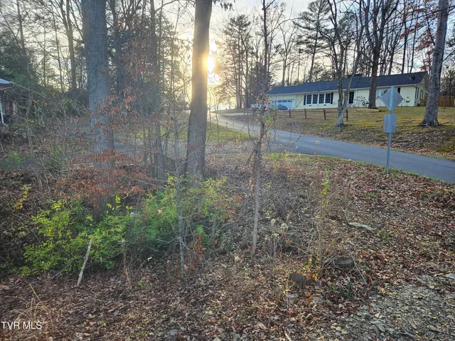 $69,000 | 0 Galax Drive, Unit NOTE, Erwin, TN 37650