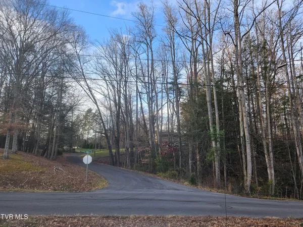 $69,000 | 0 Galax Drive, Unit NOTE, Erwin, TN 37650
