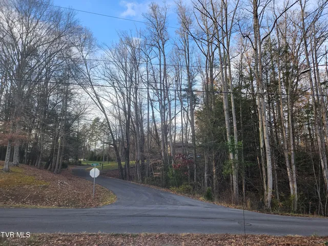 $69,000 | 0 Galax Drive, Unit NOTE, Erwin, TN 37650