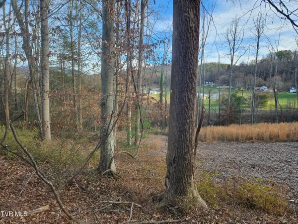 $69,000 | 0 Galax Drive, Unit NOTE, Erwin, TN 37650