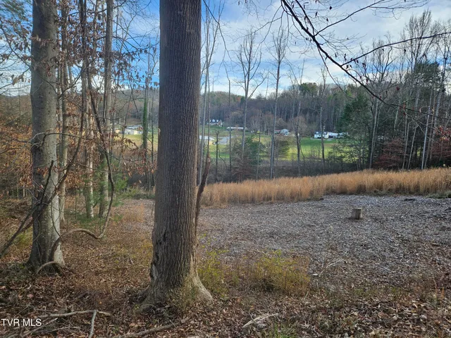 $69,000 | 0 Galax Drive, Unit NOTE, Erwin, TN 37650