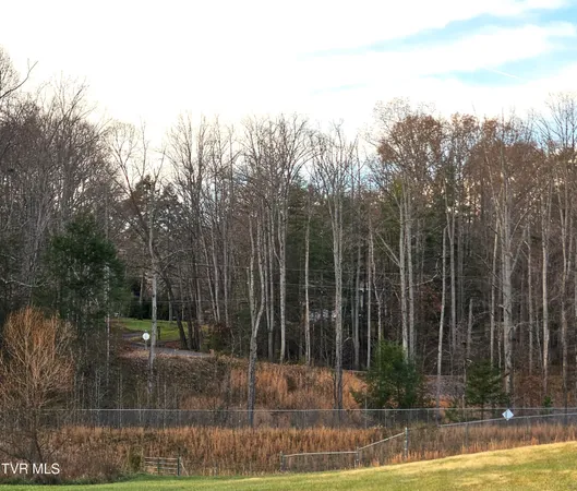 $69,000 | 0 Galax Drive, Unit NOTE, Erwin, TN 37650