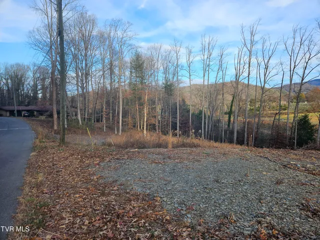 $69,000 | 0 Galax Drive, Unit NOTE, Erwin, TN 37650