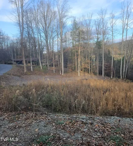 $69,000 | 0 Galax Drive, Unit NOTE, Erwin, TN 37650