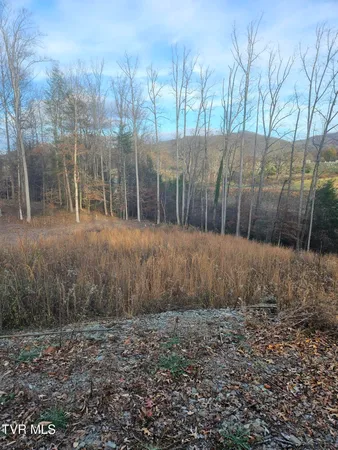 $69,000 | 0 Galax Drive, Unit NOTE, Erwin, TN 37650