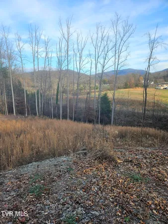 $69,000 | 0 Galax Drive, Unit NOTE, Erwin, TN 37650